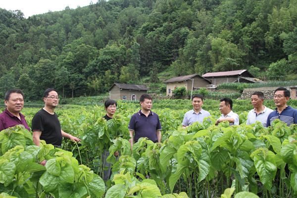 安康市商務(wù)局領(lǐng)導(dǎo)來(lái)我公司調(diào)研春蠶收購(gòu)及扶貧點(diǎn)蠶?；亟ㄔO(shè)情況